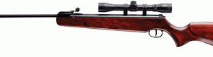 RWS RUGER AIR HAWK RIFLE