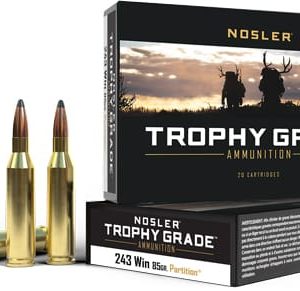 NOSLER TROPHY GRADE 243 85GR