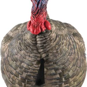 AVIAN X LCD QUARTER STRUT JAKE