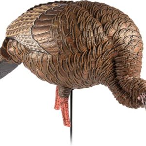 AVIAN X HDR FEEDING HEN DECOY*