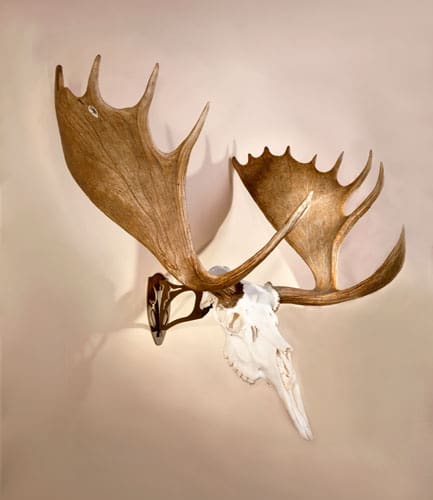 SKULL HOOKER BIG HOOKER