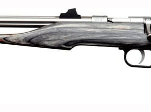 CHIPMUNK PISTOL HUNTER .22LR