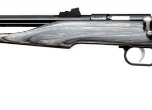 CHIPMUNK PISTOL HUNTER .22WMR