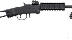 CHIAPPA LITTLE BADGER .22LR