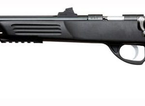 CRICKETT PISTOL .22LR