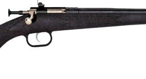 CRICKETT RIFLE G2 .22WMR