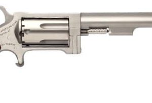 NAA SIDEWINDER .22WMR 4"