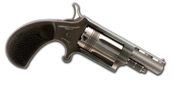NORTH AMERICAN ARMS THE WASP 22MAG REV 1-5/8" SS