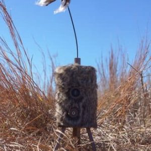 MOJO SUPER CRITTER W/CRITTER