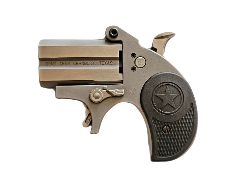 BOND ARMS STUBBY 22LR SS 2.2" FS