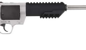 TAURUS RAGING HUNTER .460S&W