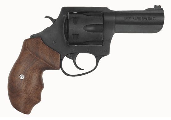 CHARTER ARMS THE PROFESSIONAL 357MAG 4.2"