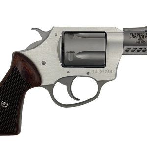 CHARTER ARMS COYOTE 380ACP SS 2" 5RD