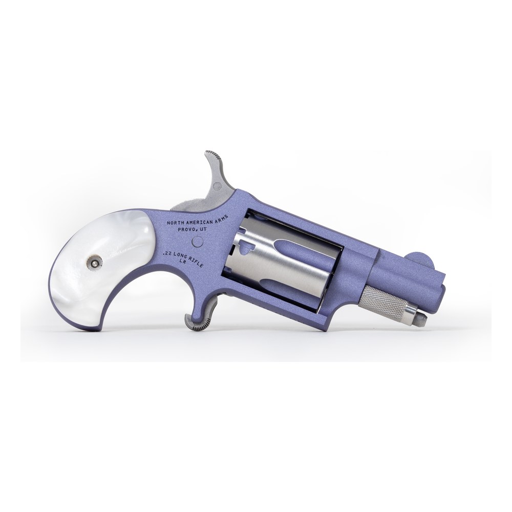 NAM MINI-REV 22LR 1.125SS ORCD