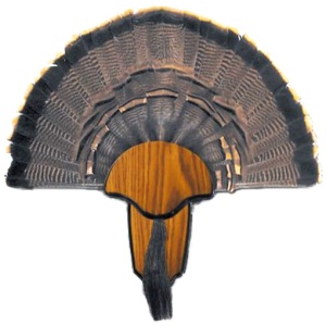 HS STRUT MOUNTING KIT TURKEY - TAIL & BEARD