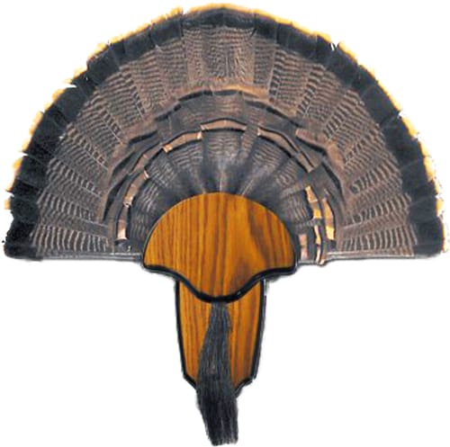 HS STRUT MOUNTING KIT TURKEY - TAIL & BEARD