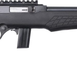 BRZ ROSSI RS22 22LR 18B TB PIC