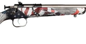 CRICKETT RIFLE G2 22LR - AMENDMENT STAINLESS