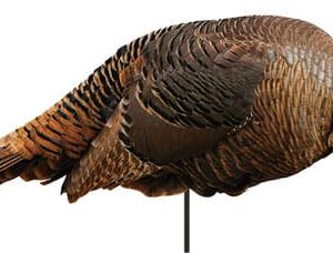 MONTANA DECOY TURKEY SPRING - FLING HEN