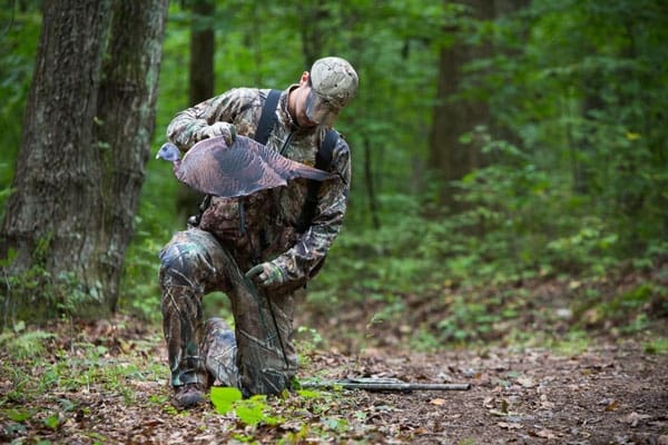 MONTANA DECOY TURKEY SPRING - FLING HEN - Image 2