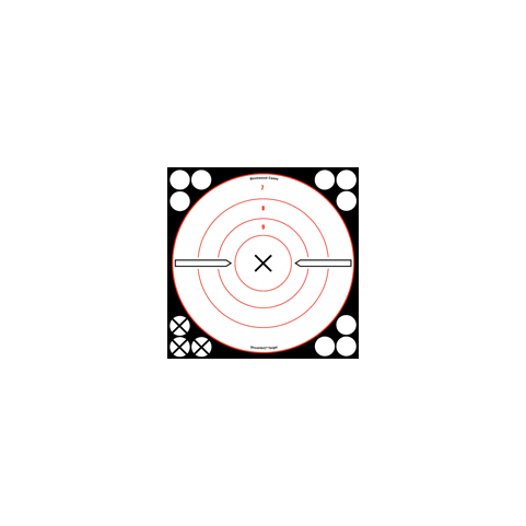 B/C TARGET SHOOT-N-C 8" WHITE/ - BLACK X-BULL'S-EYE 6 TARGETS - Image 3