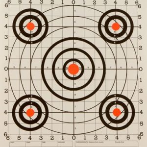 CHAMPION SCOREKEEPER 100 YD - SIGHT IN ORANGE/BLACK 12-PACK