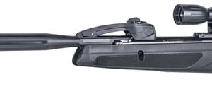 GAMO SWARM WHISPER .22 W/4X32 - SCOPE 975FPS
