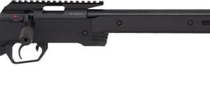 ANSCHUTZ 1761 APR HB 22LR - 21.4" W/30 MOA RAIL