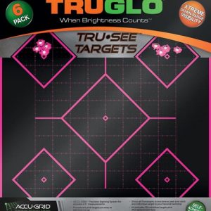 TRUGLO TRU-SEE REACTIVE TARGET - 5 DAIMOND 6-PACK PINK