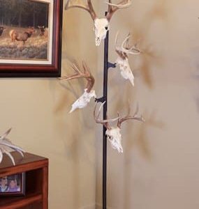 SKULL HOOKER TROPHY TREE W/ 5 - BRACKETS CUSTOMIZABLE DISPLAY