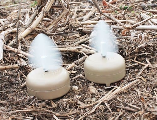 MOJO DOVE A FLICKER (4 PACK) - Image 3