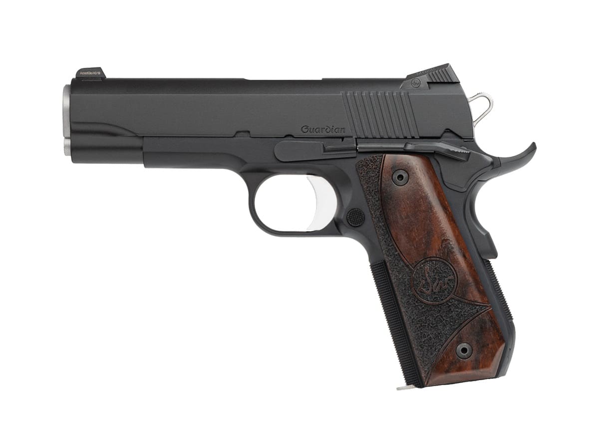 CZ DAN WESSON DW GUARDIAN 38SPR 9+1