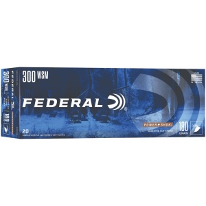 FDR 300WSM 180GR PWRSK SP 20RD