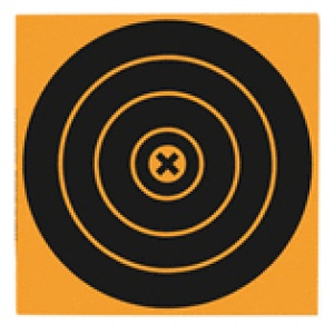 B/C BIG BURST TARGET 12"-3 - BULL'S-EYE TARGETS