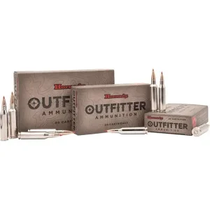 HORNADY CX OUTFITTER 375 RUGER 250G CX OTF 20RD BX 200RD CASE