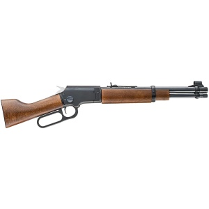 CHIAPPA FIREARMS LA BANDIT TAKEDOWN 22LR 12"