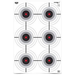 B/C TARGET EZE-SCORER 23"X35" - MULTIPLE BULL'S-EYE 5 TARGETS