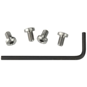 ED BROWN HEX HEAD GRIP SCREWS - S/S 4-PACK FOR 1911