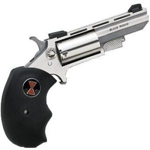 NORTH AMERICAN ARMS 22M/22L CON 2" BLK WIDOW SS FS