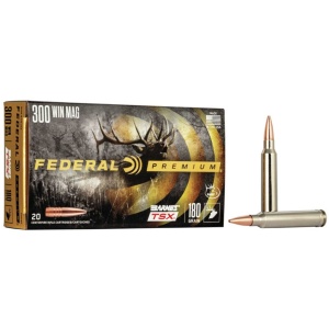 FDR 300 180GR BAR TSX 20RD