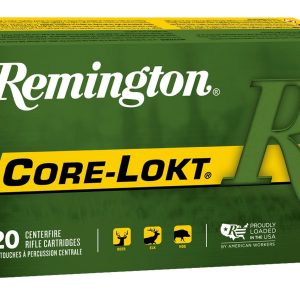 REM 270 100GR CORE PSP 20RD
