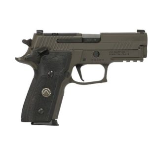 SIG SAUER LEGION 229 SAO 9MM PSTL GRY, BLK G10 GRIP, 3-10RD MAGS, OPTICS READY MASS COMPIANT
