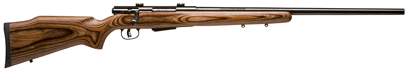 SAVAGE ARMS 25LV 204RUG BL/LAM DBM