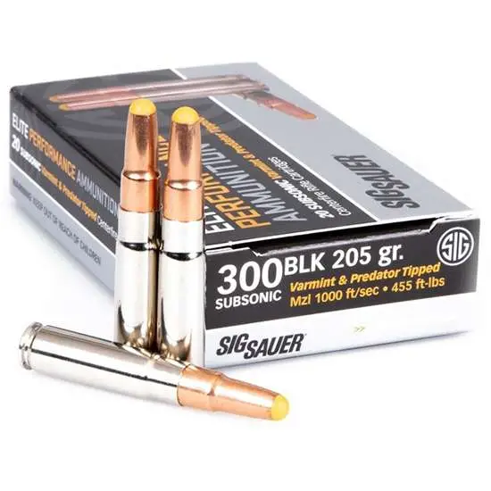 SIG SAUER SBR 300BLK 205GR SBR SUBSONIC 20RD BX