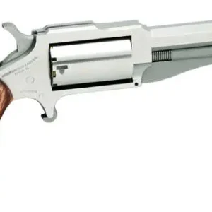 NAA MINI REVOLVER THE EARL CONV 3" 22 LR/MAGN