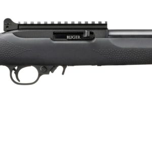 RUGER 10/22 CARBINE 22LR BL/HOGUE