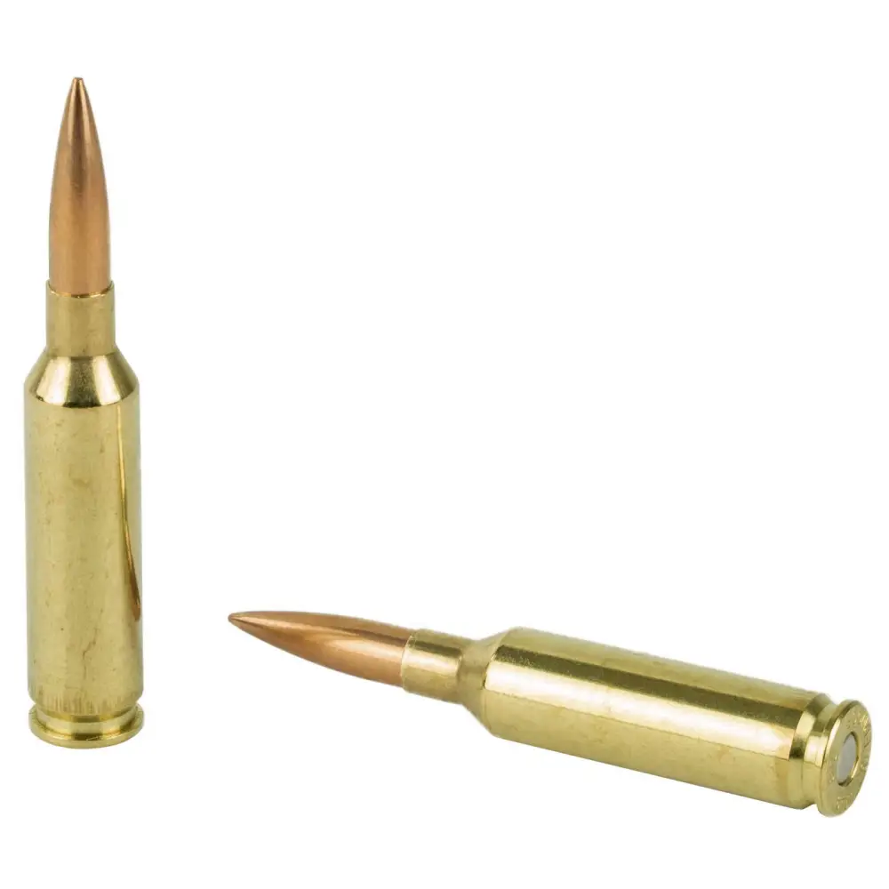 SIG SAUER ELITE MATCH 6MM CR 107GR 20RD BX - Image 3
