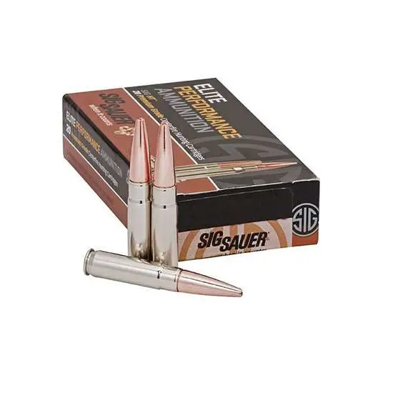 SIG 22-250 REM, 40GR,VARM/PRED 20 - Image 4