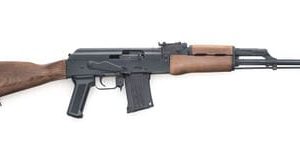 Chiappa Firearms 500.103 RAK-22 Rifle .22LR 17.25" 10+1 Wood/Blued