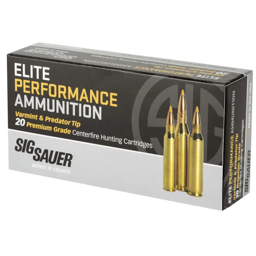 SIG 22-250 REM, 40GR,VARM/PRED 20 - Image 2